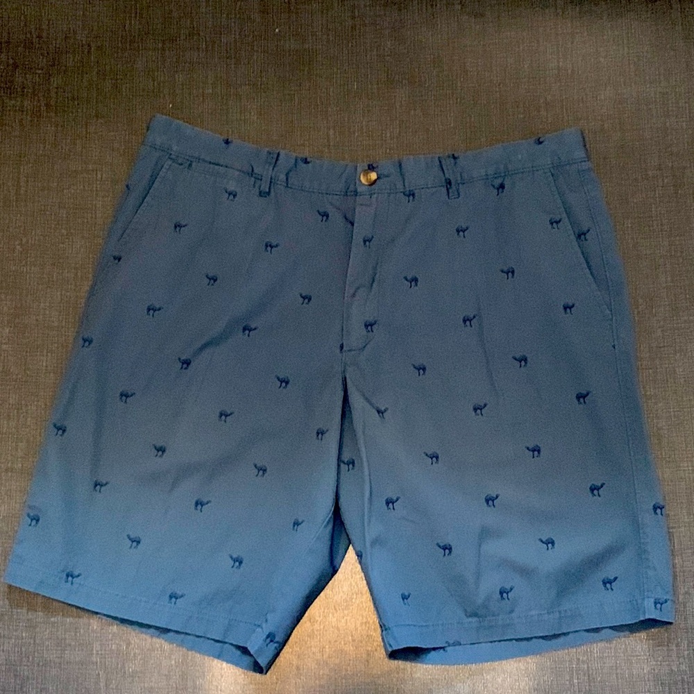 Chino Feel Shorts